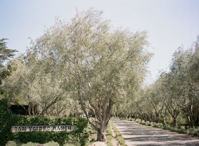 Monika and Charlie's Wedding at San Ysidro Ranch, Santa Barbara, CA. Designed by Event of the Season. Florals by Knot Just Flowers. Photos by Kristen Beinke Photography | www.kristenbeinke.com
