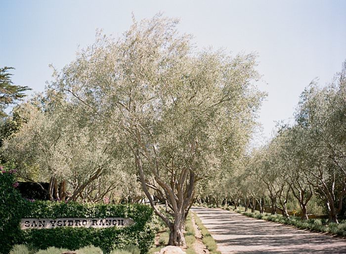 Ashley and Justin's Wedding at San Ysidro Ranch, Santa Barbara, CA. Design by Alexandra Kolendrianos, florals by TOAST photography by Kristen Beinke | www.kristenbeinke.com