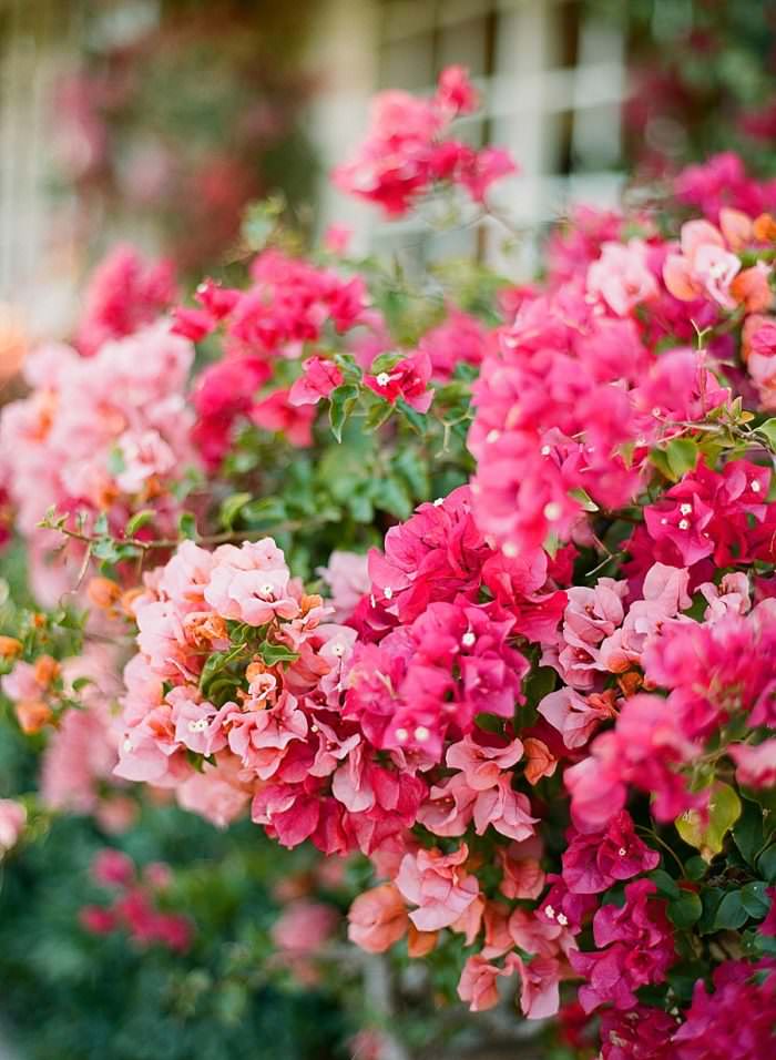 Ashley and Justin's Wedding at San Ysidro Ranch, Santa Barbara, CA. Photography by Kristen Beinke | www.kristenbeinke.com