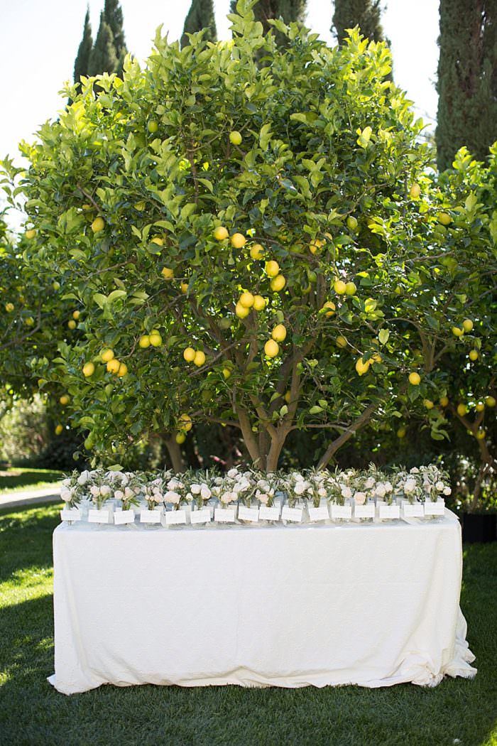 Ashley and Justin's Wedding at San Ysidro Ranch, Santa Barbara, CA. Design by Alexandra Kolendrianos, florals by TOAST photography by Kristen Beinke | www.kristenbeinke.com