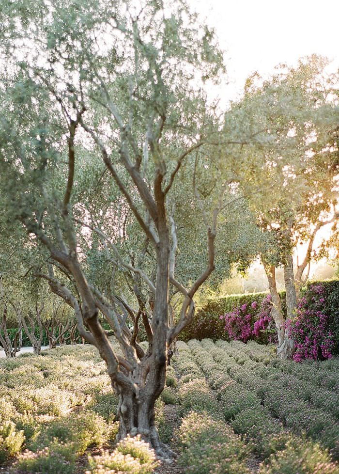 Ashley and Justin's Wedding at San Ysidro Ranch, Santa Barbara, CA. Design by Alexandra Kolendrianos, florals by TOAST photography by Kristen Beinke | www.kristenbeinke.com